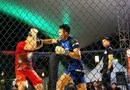 Prajurit Koarmada I Ukir Prestasi di Kejuaraan MMA DKI Jakarta