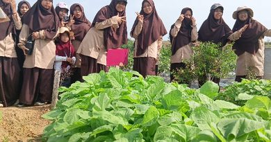 Belajar Pertanian di Alam Terbuka, Siswa SMPIT As Sakinah Kunjungi Kebun Binaan Kogabwilhan I di Dompak