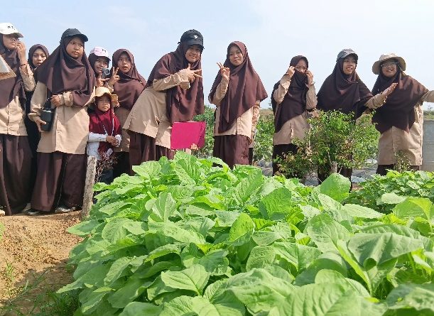 Belajar Pertanian di Alam Terbuka, Siswa SMPIT As Sakinah Kunjungi Kebun Binaan Kogabwilhan I di Dompak