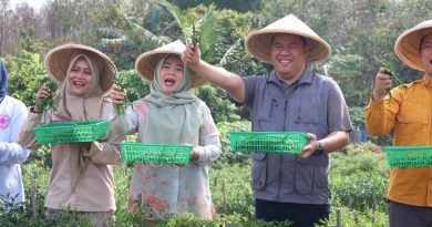 Sekda Bintan Ronny Dukung Pengembangan Pertanian, Perkuat Ketahanan Pangan Bintan Sekda Bintan Ronny Dukung Pengembangan Pertanian, Perkuat Ketahanan Pangan Bintan